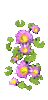 Kép